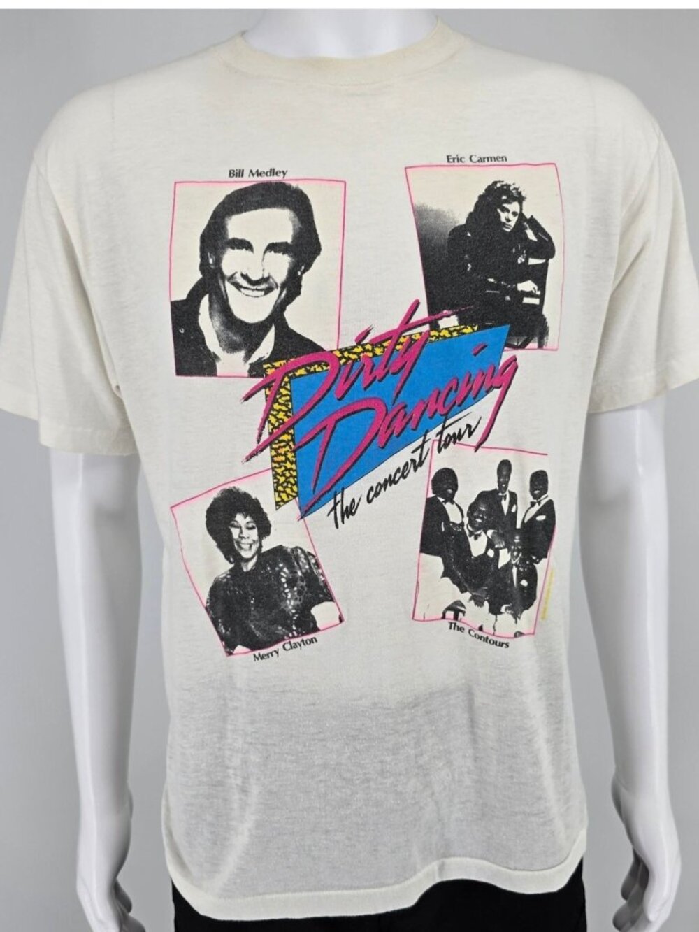 Vintage 1980s Ched by Anvil Dirty Dancing The Concert Tour 1988 T-Shirt (M)